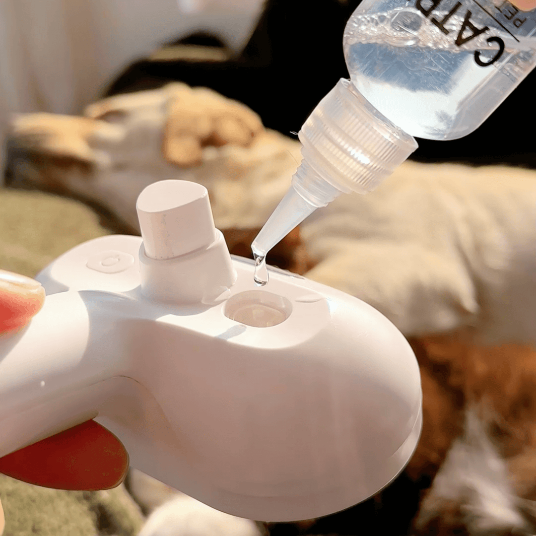 BrushPaw Ångborste för Hundar