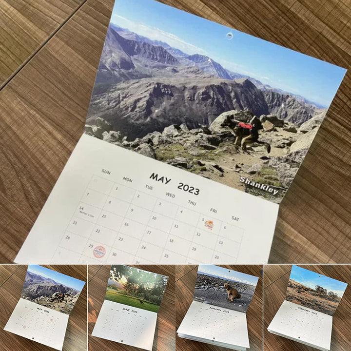 "2023 Hundkalender för hundälskare, glansigt papper, bilder av hundar i avslappnade poser, perfekt rolig present."