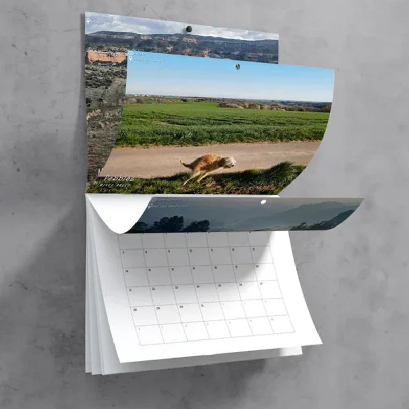 "2023 Hundkalender för hundälskare, glansigt papper, bilder av hundar i avslappnade poser, perfekt rolig present."