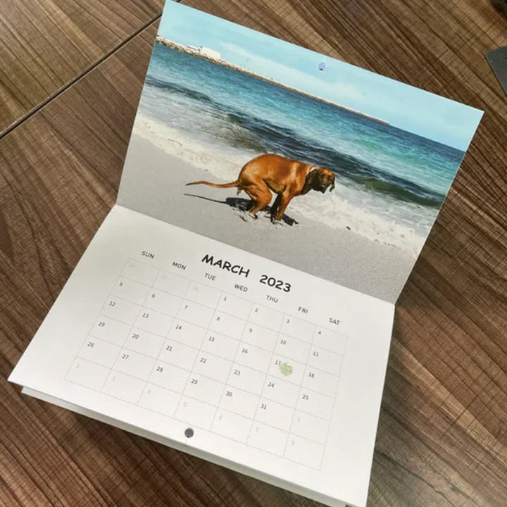 "2023 Hundkalender för hundälskare, glansigt papper, bilder av hundar i avslappnade poser, perfekt rolig present."