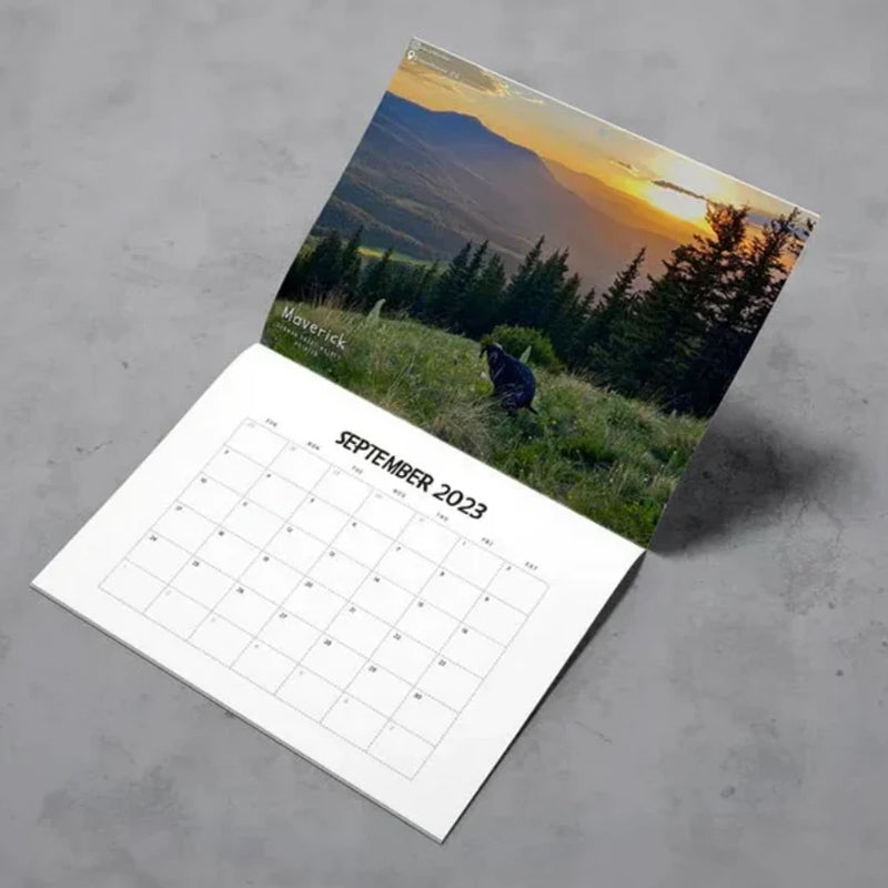 "2023 Hundkalender för hundälskare, glansigt papper, bilder av hundar i avslappnade poser, perfekt rolig present."