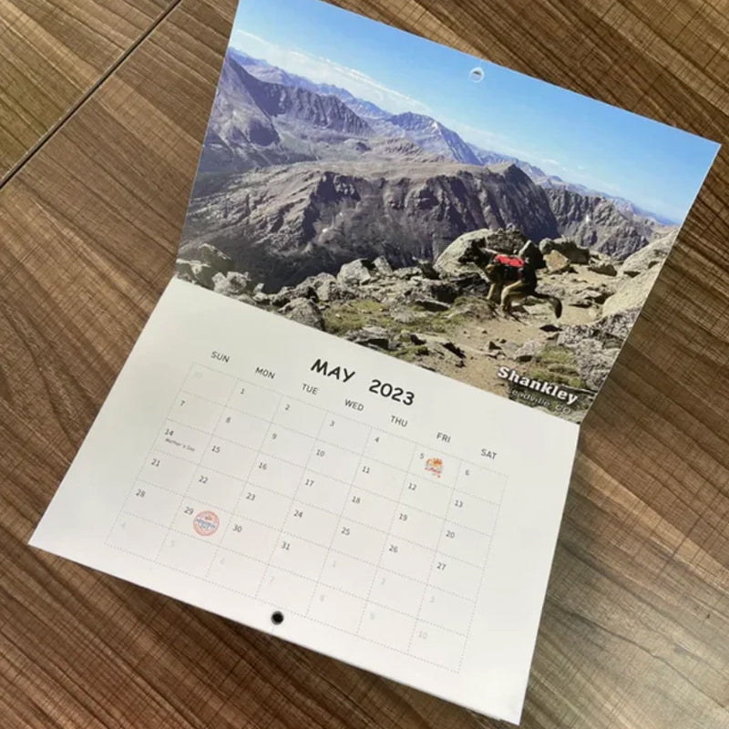"2023 Hundkalender för hundälskare, glansigt papper, bilder av hundar i avslappnade poser, perfekt rolig present."
