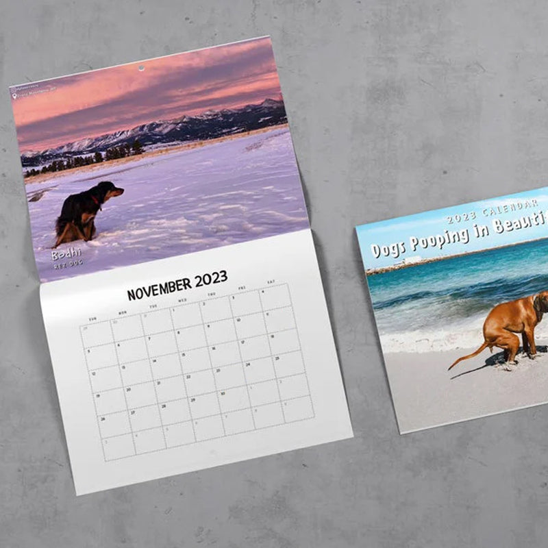 "2023 Hundkalender för hundälskare, glansigt papper, bilder av hundar i avslappnade poser, perfekt rolig present."