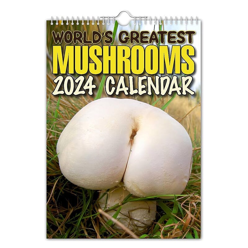 "2024 Världens Bästa Svampar Väggkalender, A4 med roliga svampbilder, perfekt present för svampfantaster och humor på väggen.