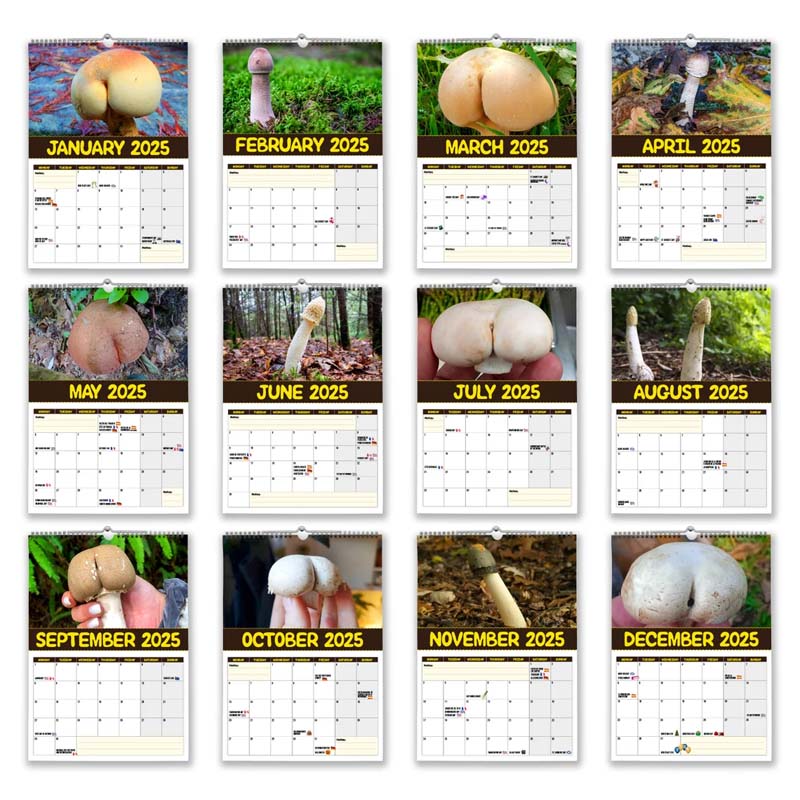"2024 Världens Bästa Svampar Väggkalender, A4 med roliga svampbilder, perfekt present för svampfantaster och humor på väggen.