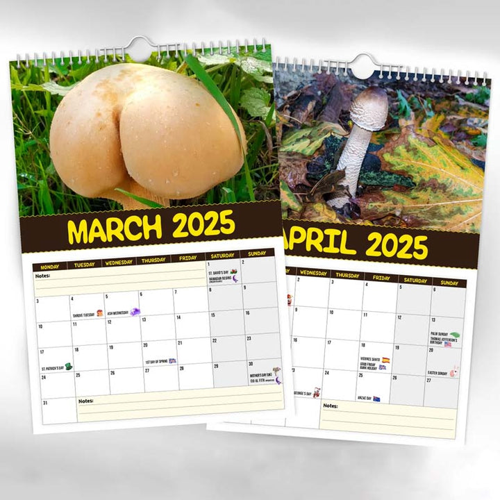"2024 Världens Bästa Svampar Väggkalender, A4 med roliga svampbilder, perfekt present för svampfantaster och humor på väggen.