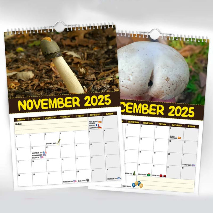 "2024 Världens Bästa Svampar Väggkalender, A4 med roliga svampbilder, perfekt present för svampfantaster och humor på väggen.
