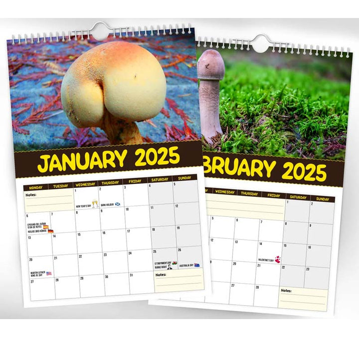 "2024 Världens Bästa Svampar Väggkalender, A4 med roliga svampbilder, perfekt present för svampfantaster och humor på väggen.