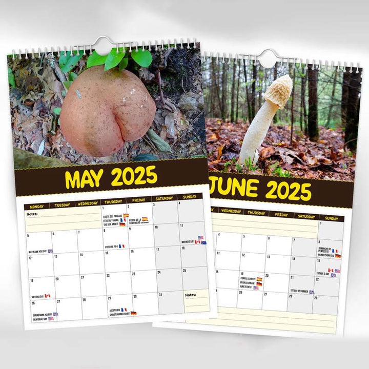 "2024 Världens Bästa Svampar Väggkalender, A4 med roliga svampbilder, perfekt present för svampfantaster och humor på väggen.