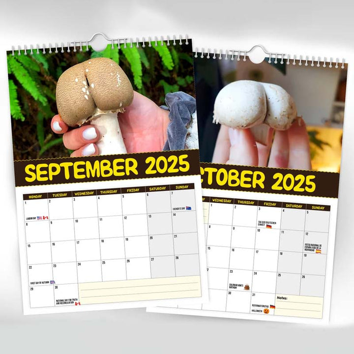 "2024 Världens Bästa Svampar Väggkalender, A4 med roliga svampbilder, perfekt present för svampfantaster och humor på väggen.