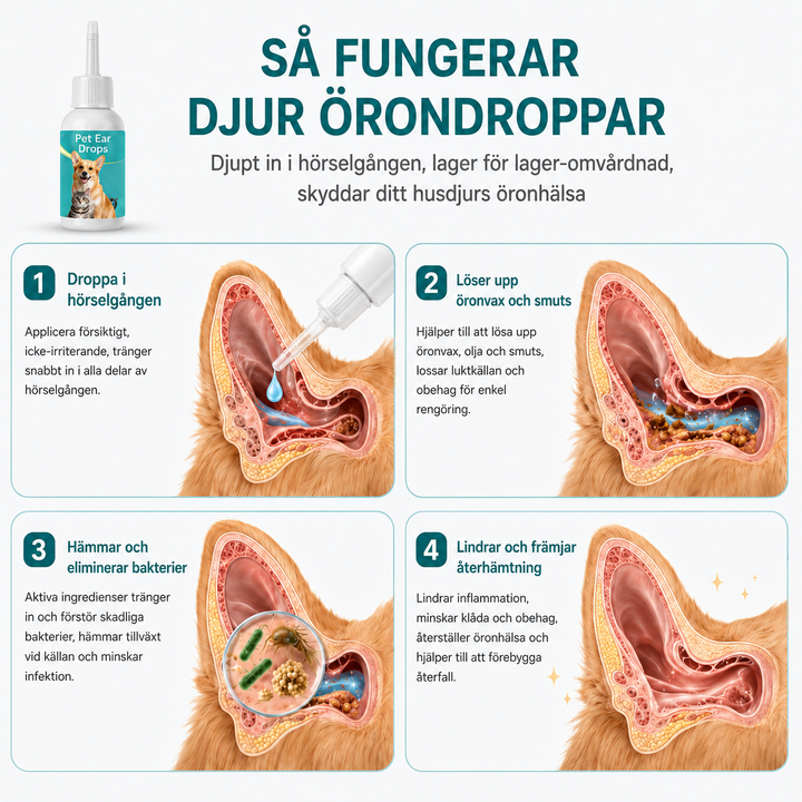 Naturlig Öronrengöring för Katter – Skonsam & Effektiv Vård