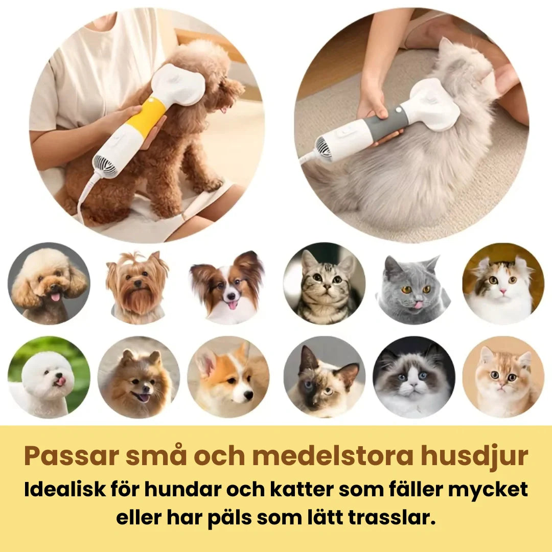 Mångsidig 3-i-1 pälsfön för hundar och katter. Kombinerar torkning, borstning och trimning.