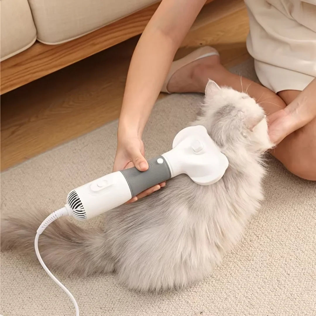 Högkvalitativ pälsfön för professionell pälsvård hemma. Perfekt för hundar och katter, skonsam grooming.