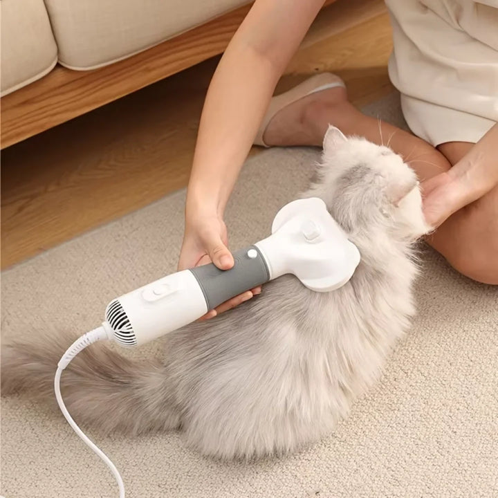 Högkvalitativ pälsfön för professionell pälsvård hemma. Perfekt för hundar och katter, skonsam grooming.