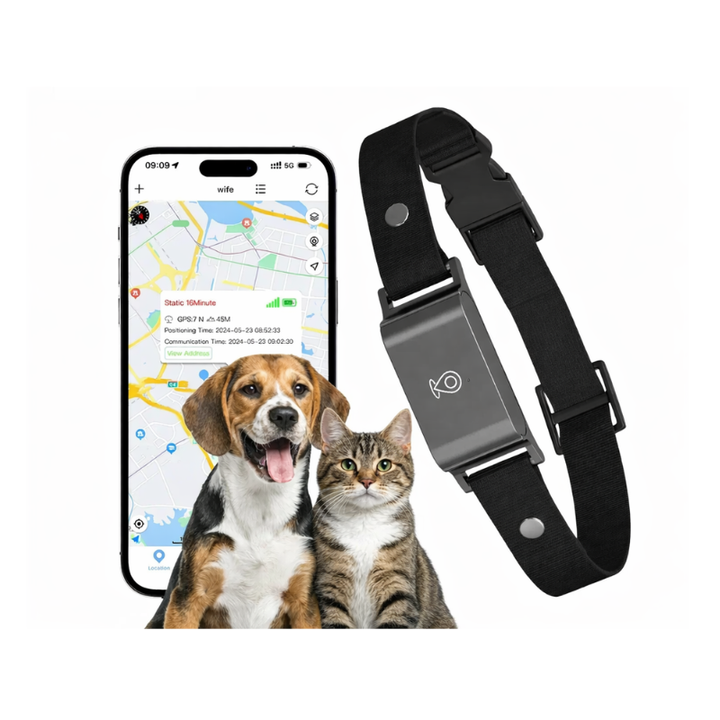 4G GPS-tracker för husdjur, realtidsspårning av hund & katt. Håll ditt djur säkert med smart teknik.