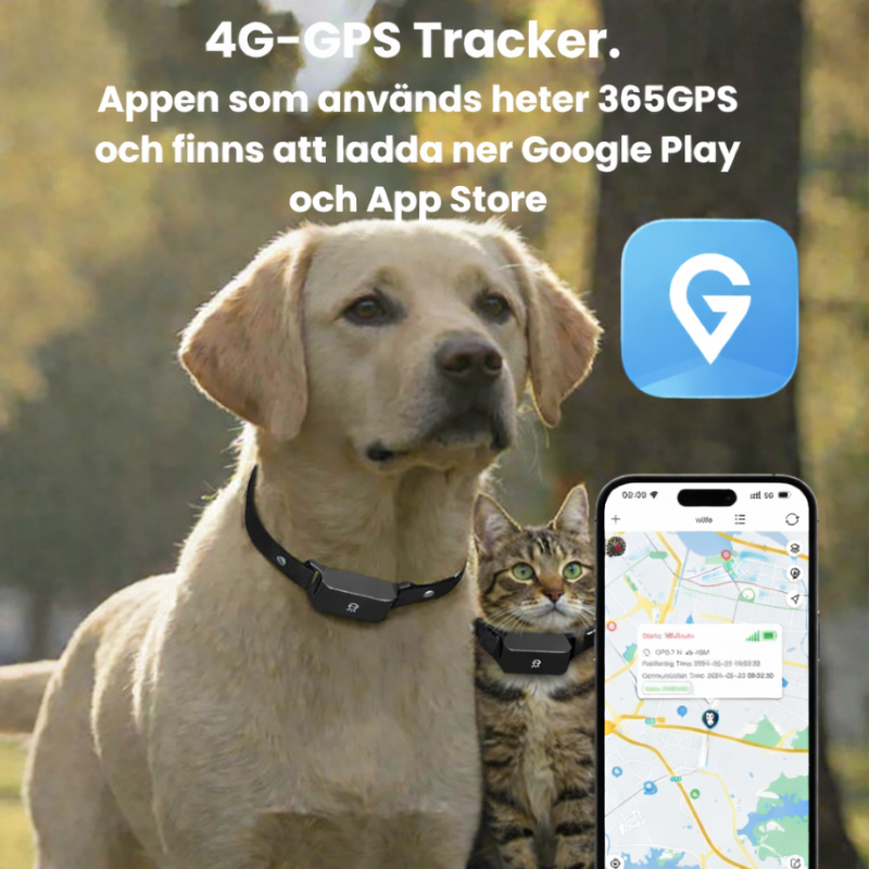 Säker 4G GPS-tracker för husdjur. Spåra din hund eller katt enkelt med geostaket-funktion.