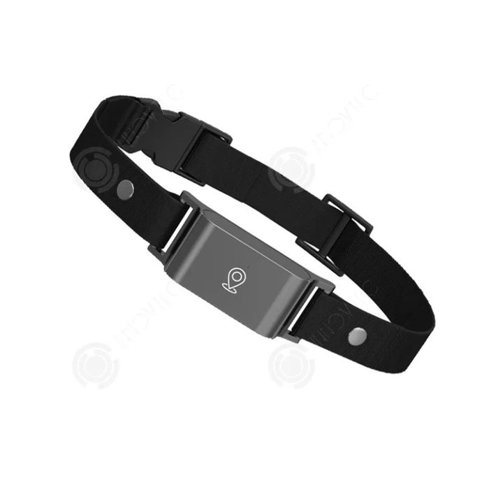 Avancerad 4G GPS-tracker för husdjur med exakt realtidsspårning. Hitta din hund/katt var som helst.
