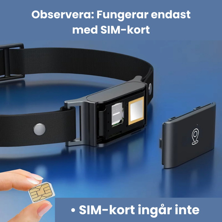 Pålitlig 4G GPS-tracker för husdjur, ger bred täckning & snabb spårning av hund & katt. Djursäkerhet.