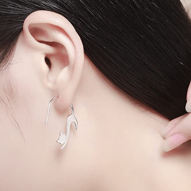 "Dametiska örhängen i silver med kattmotiv, hypoallergeniska, elegant design, sofistikerade smycken för känsliga öron."