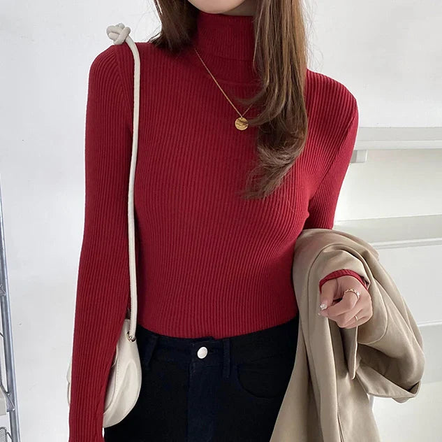 "Stickad damturtleneck tröja i mjuk material, perfekt för höst och vinter; elegant design för både vardagliga och formella st