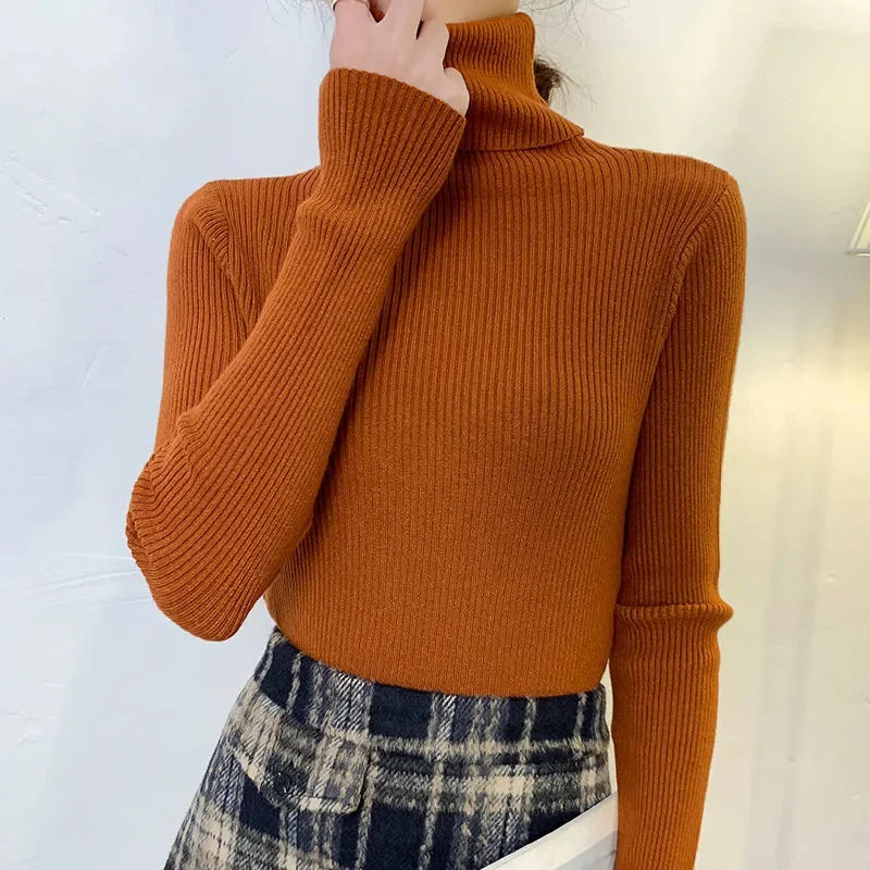 "Stickad damturtleneck tröja i mjuk material, perfekt för höst och vinter; elegant design för både vardagliga och formella st