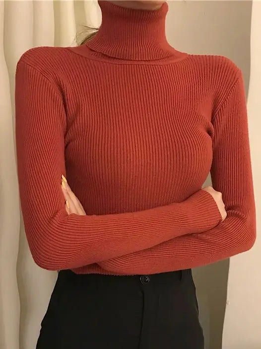 "Stickad damturtleneck tröja i mjuk material, perfekt för höst och vinter; elegant design för både vardagliga och formella st