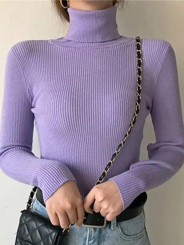 "Stickad damturtleneck tröja i mjuk material, perfekt för höst och vinter; elegant design för både vardagliga och formella st