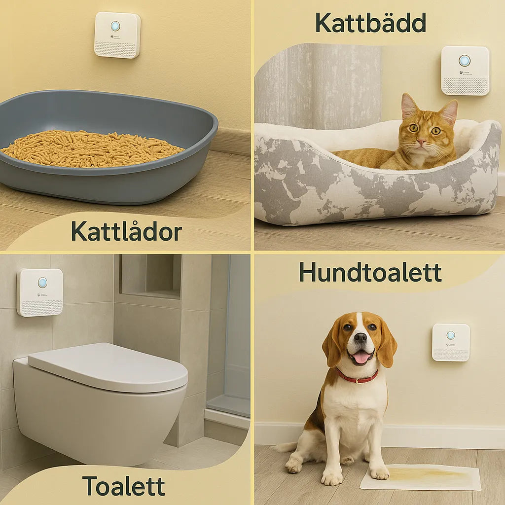Airclean djurtillbehör: Luftrenare för kattlådan med avancerad odöreliminering.