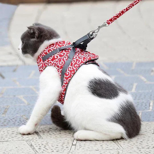 Andningsaktiv kattsele med koppel. Mjuk meshsele för trygga kattpromenader utomhus, justerbar för optimal komfort.