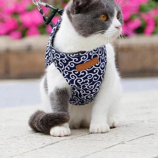 Andningsaktiv kattsele med koppel utlagd. Redo för säkra kattpromenader, utomhuskattäventyr och kattsäkerhet.
