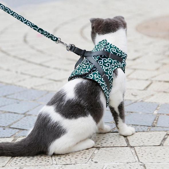 Justerbar andningsaktiv kattsele i flera storlekar. Inklusive koppel för säkerhet och frihet under kattpromenad.