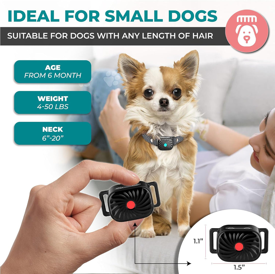 Skällhalsband med ljud- & vibrationsfunktion för anti-skäll träning. Effektivt för små hundar.