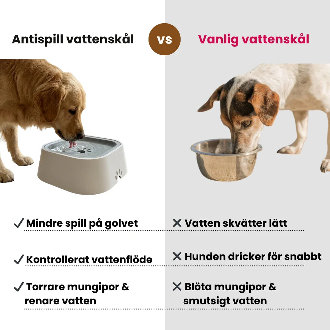 Smart antispill vattenskål 1.5L, renare golv för husdjursägare. Robust och hållbar design.