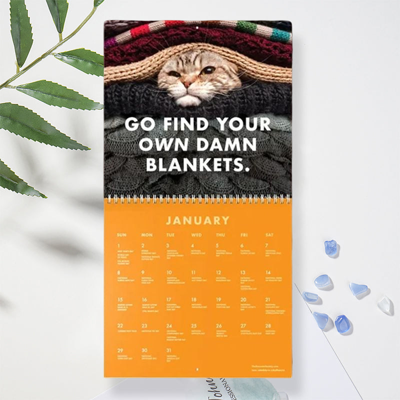"Arg Kattkalender 2024: Charmig kalender med uttrycksfulla, humoristiska kattbilder, perfekt present för kattälskare."