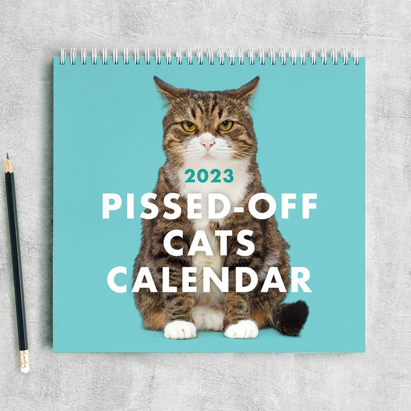 "Arg Kattkalender 2024: Charmig kalender med uttrycksfulla, humoristiska kattbilder, perfekt present för kattälskare."