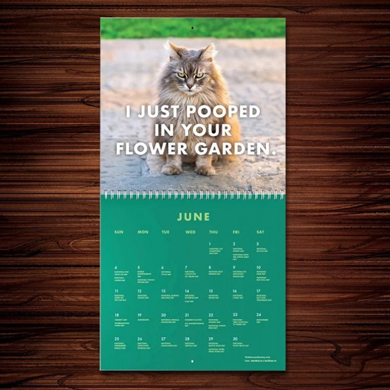 "Arg Kattkalender 2024: Charmig kalender med uttrycksfulla, humoristiska kattbilder, perfekt present för kattälskare."
