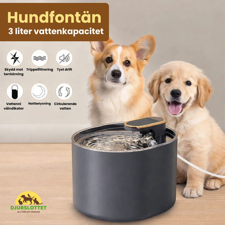 Hund- och kattfontän med tyst pump, kolfilter & automatisk vattenflöde. Alltid rent dricksvatten.