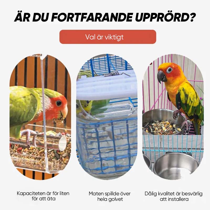"Automatisk fågelmatare, transparent och spillfri, robust design av PP-material, lämplig för olika fågelarter."