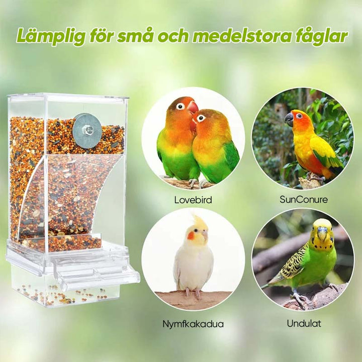 "Automatisk fågelmatare, transparent och spillfri, robust design av PP-material, lämplig för olika fågelarter."