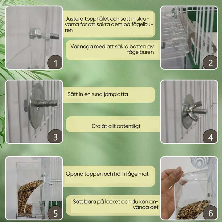 "Automatisk fågelmatare, transparent och spillfri, robust design av PP-material, lämplig för olika fågelarter."