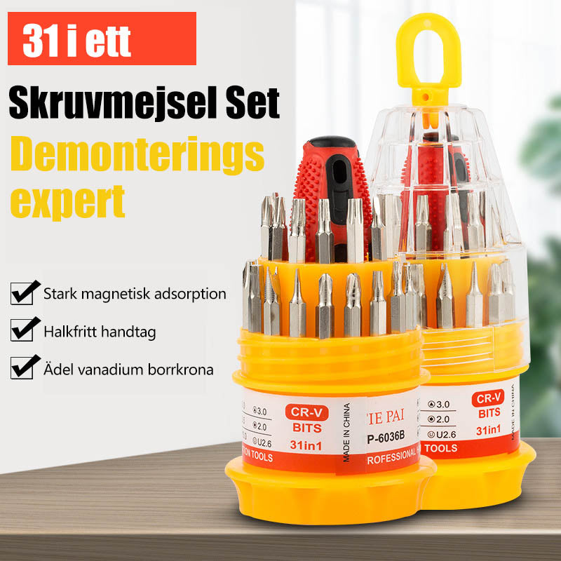"Bärbart 31-i-1 skruvmejsel set med magnetiska bits, kompakta verktyg i plastlåda, idealiska för DIY-projekt"