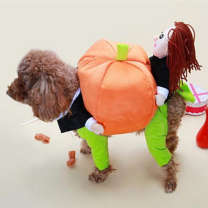 "Chic Halloween hunddräkt med livfull pumpadesign i mjuk sammet, perfekt för små till stora hundar. Justerbar passform."