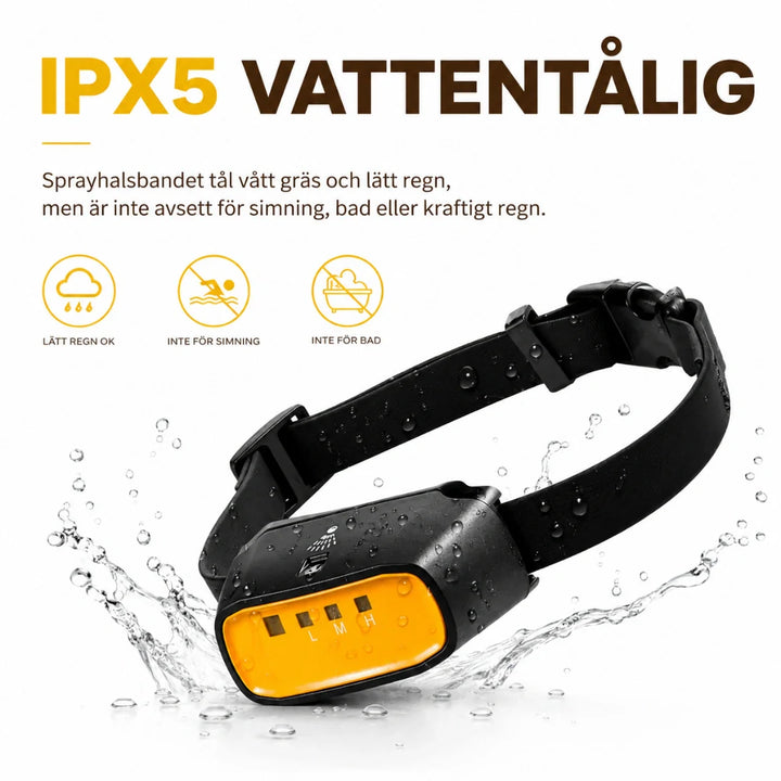 Träna hunden med ett säkert citronella antiskällhalsband. För barkkontroll och ett tystare, lugnare husdjur.