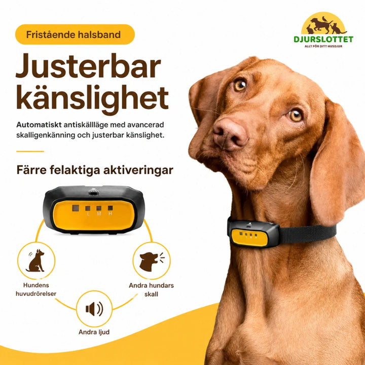 Närbild av citronella antiskällhalsbandet. Ett modernt sprayhalsband för effektiv barkkontroll och hundträning.