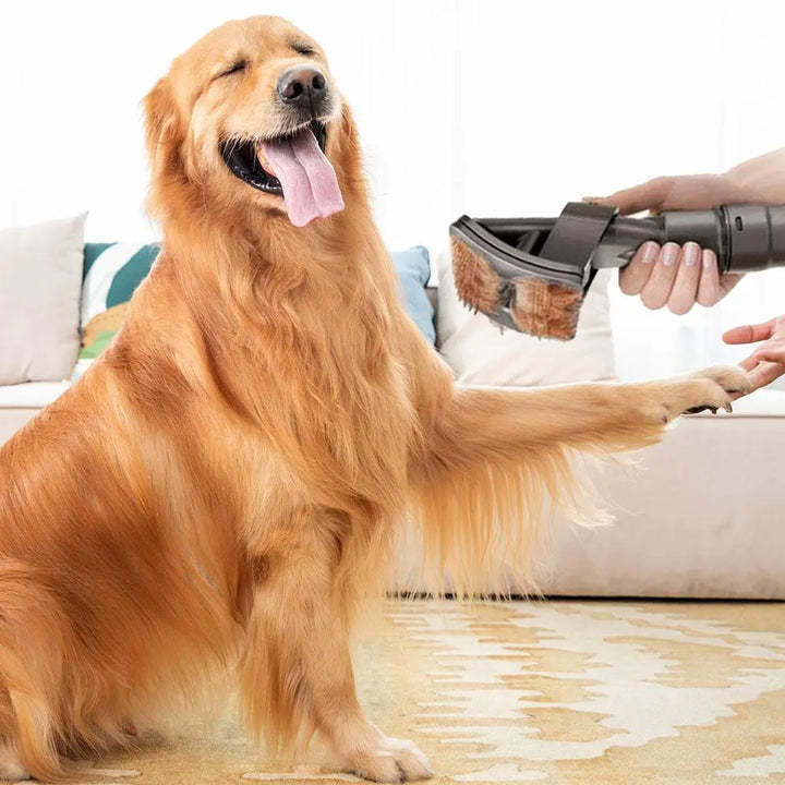 Djurhårborste med dammsugartillägg för effektiv pälsrengöring av hund & katt.