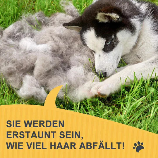 Få en glansig och tovfria päls med denna professionella hundborste och underullskam.