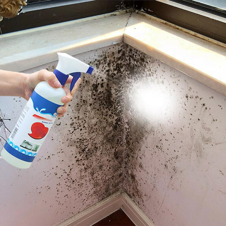 "Effektiv väggmögelsrengörare i en sprayflaska, hjälper till att ta bort mögelfläckar från olika ytor i hemmet."