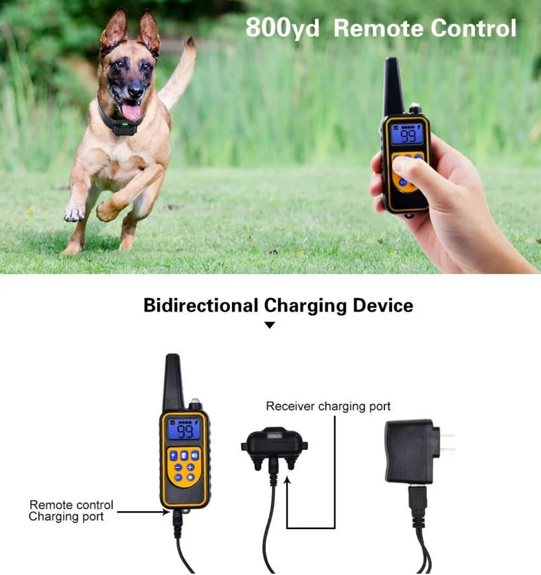 Hundhalsband med fjärrkontroll för effektiv hundträning. Förbättra lydnaden med detta e-halsband.