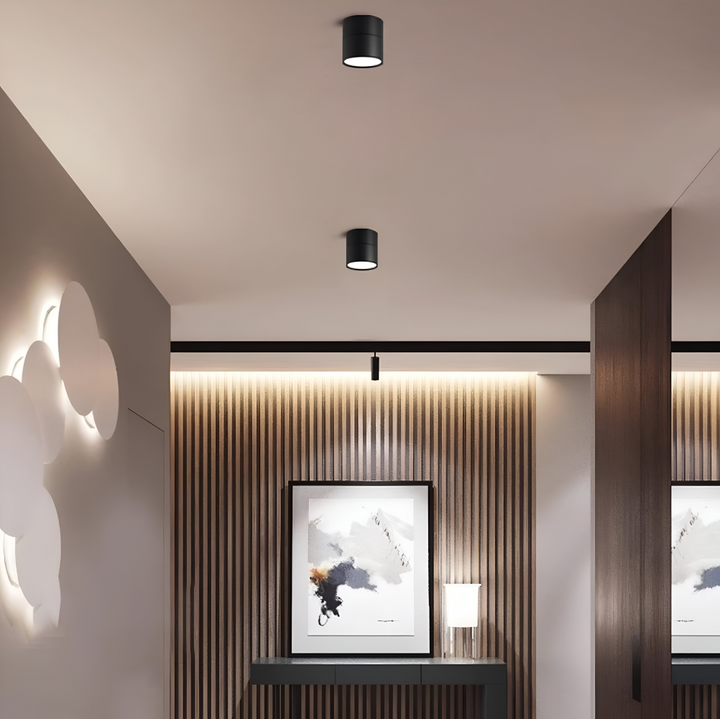 Modern LED spotlight taklampa, justerbar accentbelysning för hem & trädgård.
