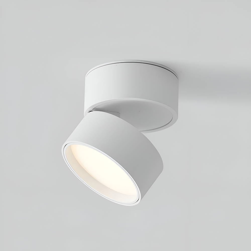 Elegant minimalistisk LED taklampa för vardagsrum. Fokus på stilfull belysning.